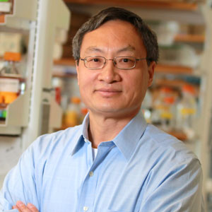 Fen-Biao Gao, PhD, will be the inaugural holder of the Governor Paul Cellucci Chair in Neuroscience Research.