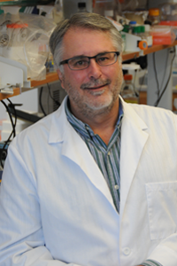 Timothy Kowalik, PhD