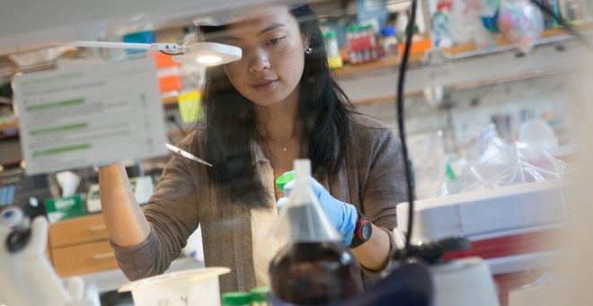 UMMS placed highly in basic science research funding, ranking 10th in biochemistry and 20th in genetics. Here, a postdoc works in the lab.