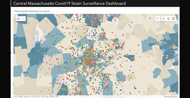 UMass Chan scientists develop web app for visualizing locality of COVID variants, clinical data