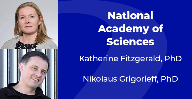 Katherine Fitzgerald and Nikolaus Grigorieff elected to National Academy of Sciences