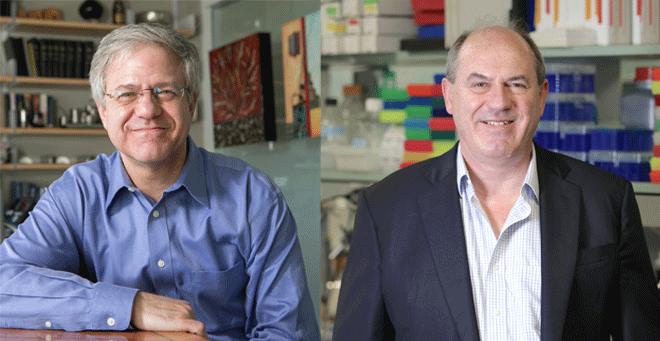 Phillip Zamore, Roger Davis elected to National Academy of Medicine